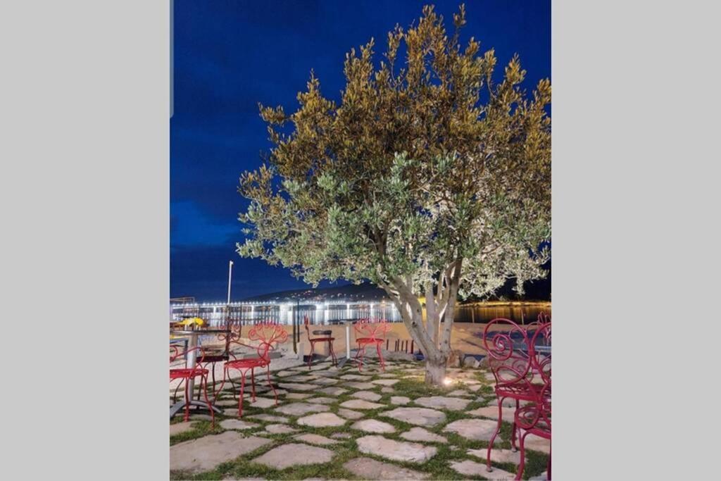 Appartamento Oleandar Traù Esterno foto
